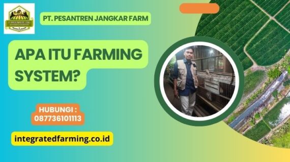 Apa Itu Farming System?