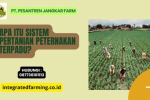 Apa Itu Sistem Pertanian Peternakan Terpadu?