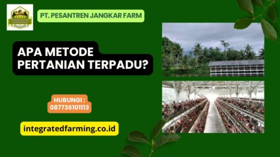 Apa Metode Pertanian Terpadu?