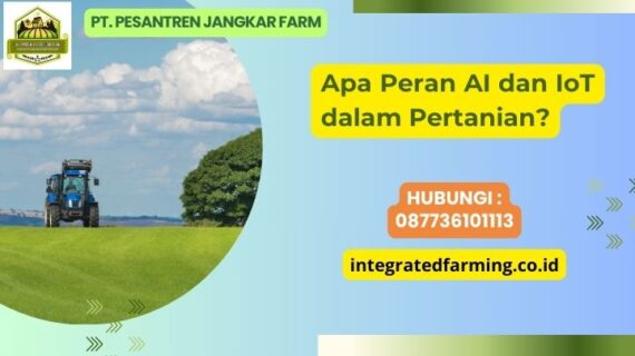 Apa Peran AI dan IoT dalam Pertanian?
