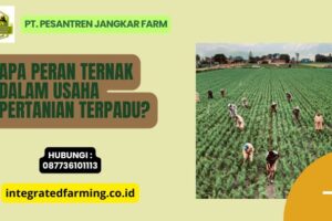 Apa Peran Ternak dalam Usaha Pertanian Terpadu?