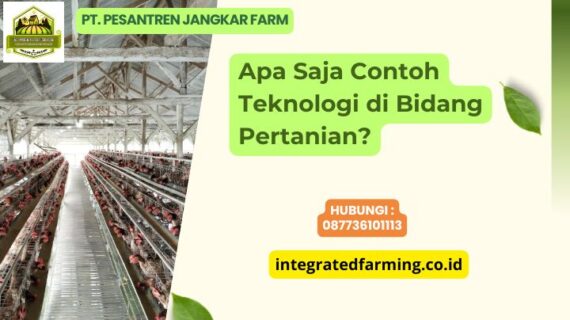 Apa Saja Contoh Teknologi di Bidang Pertanian?