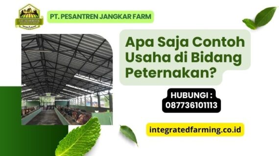 Apa Saja Contoh Usaha di Bidang Peternakan?