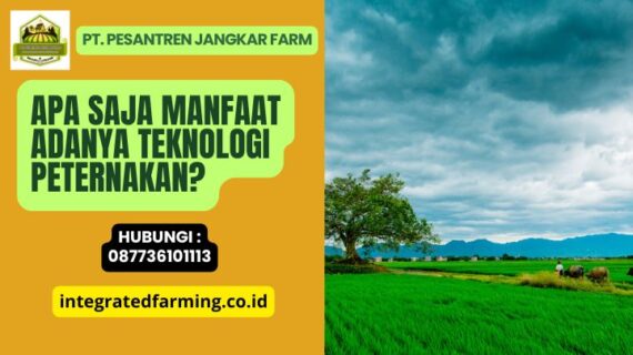 Apa Saja Manfaat Adanya Teknologi Peternakan?