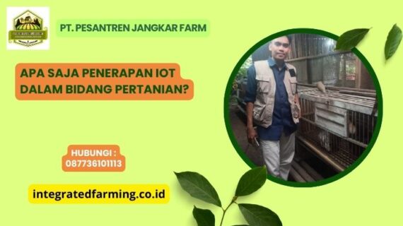 Apa Saja Penerapan IoT dalam Bidang Pertanian?