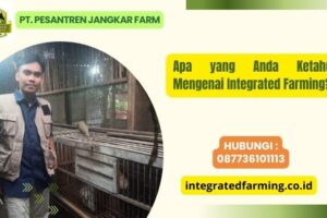 Apa yang Anda Ketahui Mengenai Integrated Farming?