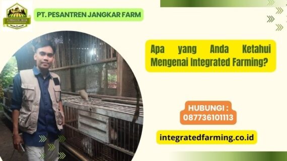 Apa yang Anda Ketahui Mengenai Integrated Farming?