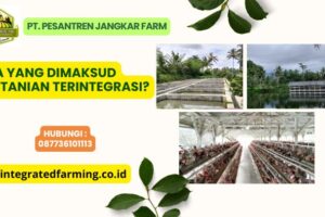 Apa Saja Contoh Sistem Pertanian Terpadu?