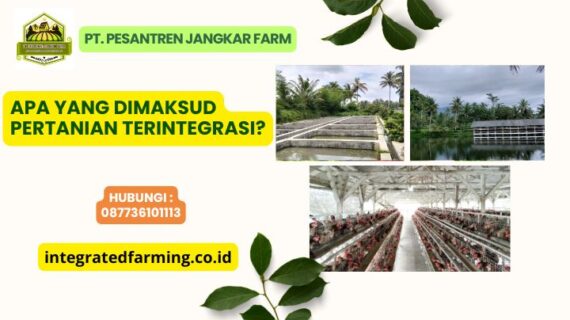 Apa Saja Contoh Sistem Pertanian Terpadu?