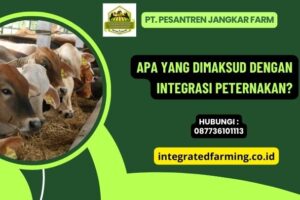Apa yang Dimaksud dengan Integrasi Peternakan?