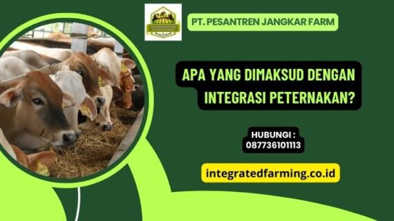 Apa yang Dimaksud dengan Integrasi Peternakan?
