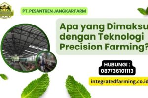 Apa yang Dimaksud dengan Teknologi Precision Farming?