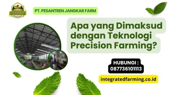 Apa yang Dimaksud dengan Teknologi Precision Farming?