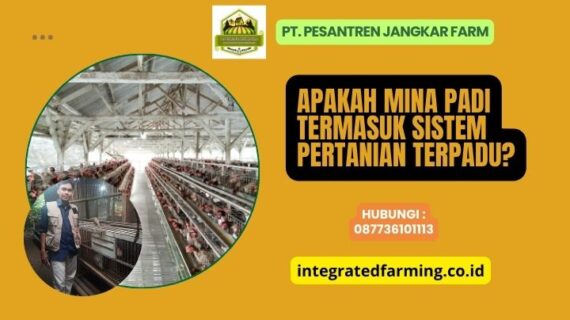 Apakah Mina Padi Termasuk Sistem Pertanian Terpadu?