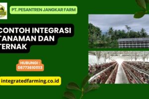 Keuntungan dari Implementasi Sistem Pertanian Terpadu