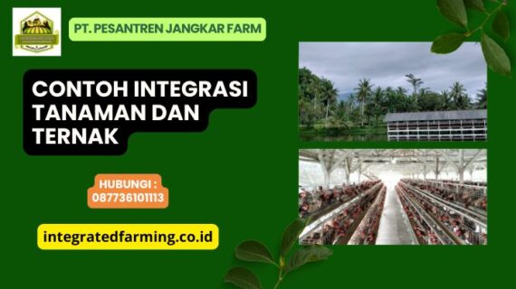 Keuntungan dari Implementasi Sistem Pertanian Terpadu