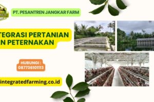 Integrasi Pertanian dan Peternakan