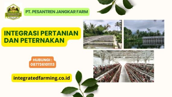 Integrasi Pertanian dan Peternakan