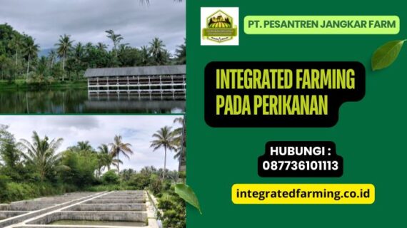 Integrated Farming pada Perikanan