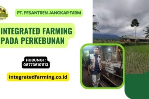 Integrated Farming pada Perkebunan