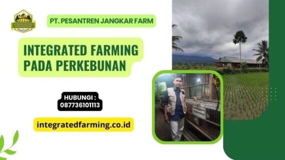 Integrated Farming pada Perkebunan