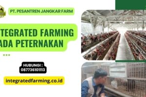 Integrated Farming pada Peternakan