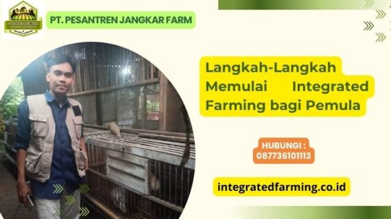 Langkah-Langkah Memulai Integrated Farming bagi Pemula