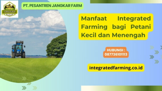 Manfaat Integrated Farming bagi Petani Kecil dan Menengah