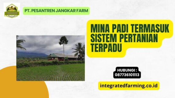 Mina Padi Termasuk Sistem Pertanian Terpadu