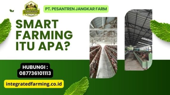 Smart Farming itu Apa?